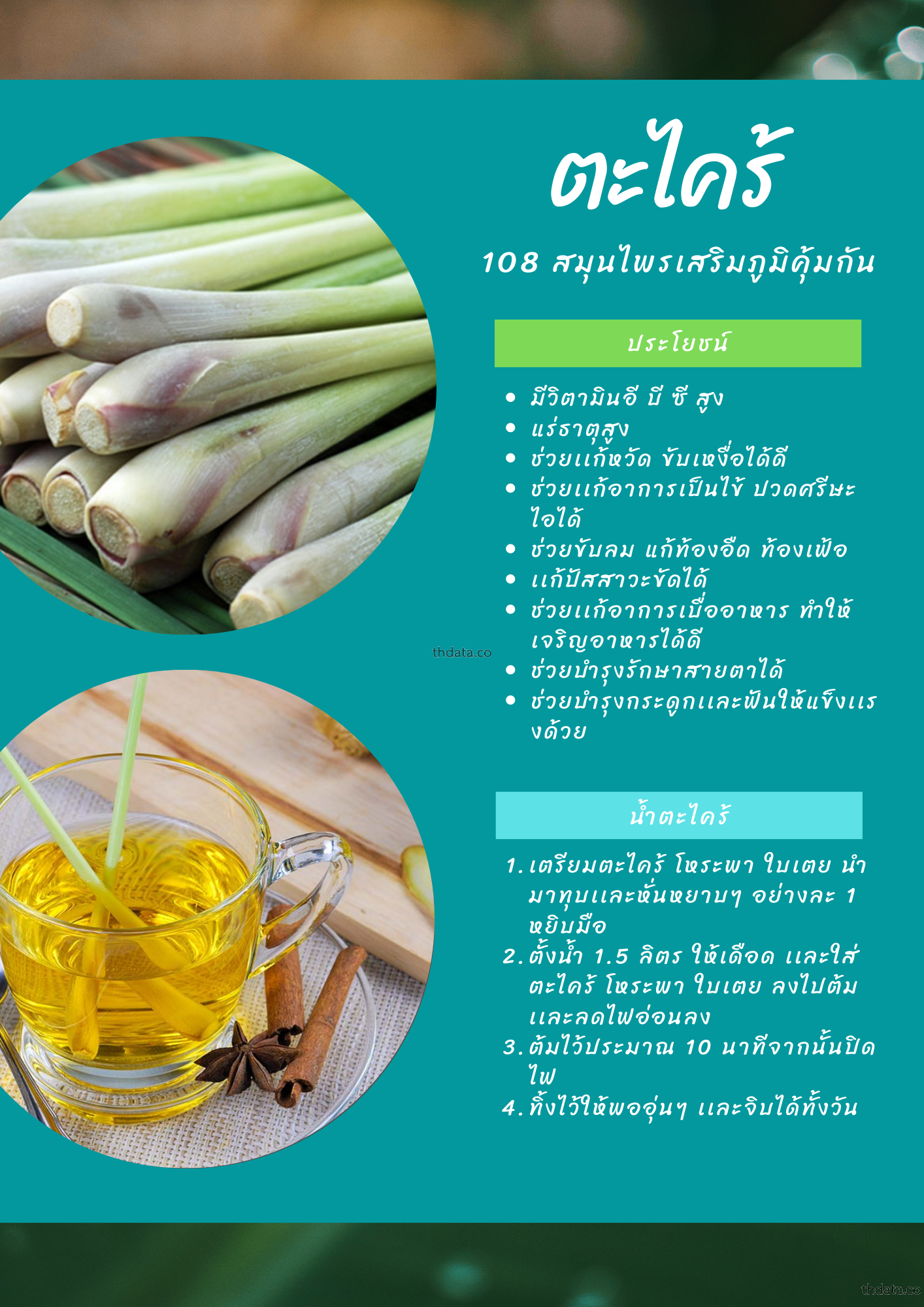 ตะไคร้-108-สมุนไพรเสริมภูมิคุ้มกัน สมุนไพร ตะไคร้-108-สมุนไพรเสริมภูมิคุ้มกัน สรรพคุณของตะไคร้-108-สมุนไพรเสริมภูมิคุ้มกัน thai-herbs.thdata.co thdata.co